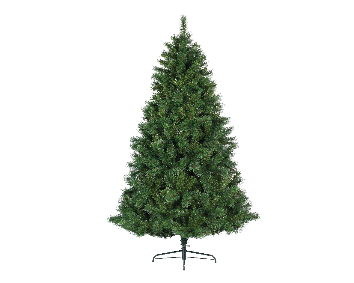 Sapin Ontario 2m10 - Jardinerie Ducailly